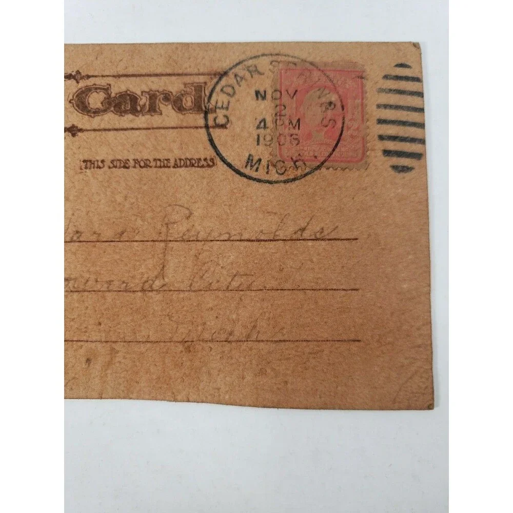 Antique Leather Postcard Mother Pin A Rose On Me Cedar Springs Michigan MI 1906